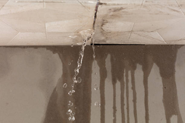 Professional Structural Drying technician working in Covington, OH
